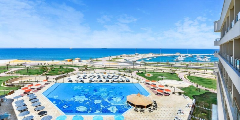 توليب الجلالة ماجيستك 