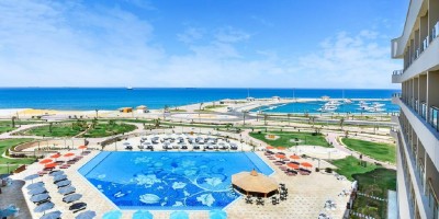 توليب الجلالة ماجيستك 